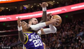 的技术特长 的技术特长